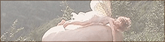 Faeries in the Attic