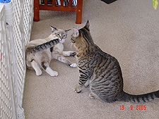 Allie & Lily, September 2005