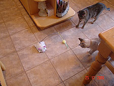 Allie & Lily with their new toy.