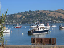 Angel Island 5-Miler