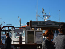 Angel Island 5-Miler