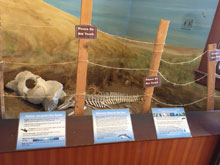 Angel Island 5-Miler