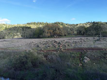 Annadel & Lake Ilsanjo