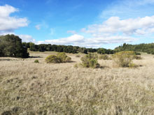 Annadel & Lake Ilsanjo