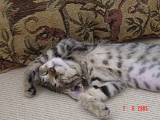 It's been a rough day!