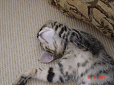 Hunter just wears me out!