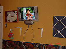 Hunter's new 17in. LCD TV