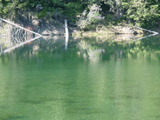 Benbow Lake
