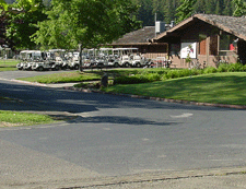 Lots of golf carts.