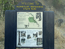 Avenue of the Giants sign