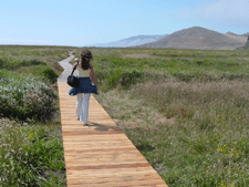 Boardwalk along the trail.