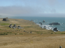 Coastal views from trail.