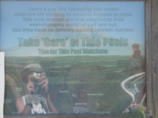 Tidepool Sign