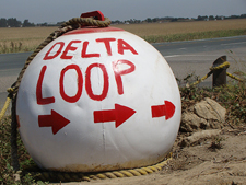 Delta Loop