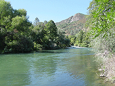 View of Putah Creek.