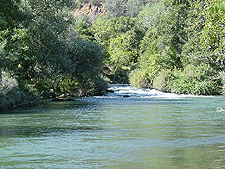 Small rapids along Putah Creek