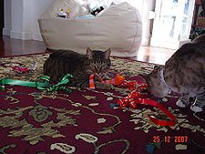 Allie & Lily enjoy the ribbon