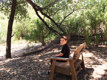 Camping at Cloverdale KOA