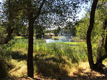 Camping at Cloverdale KOA