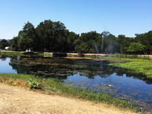 Camping at Cloverdale KOA