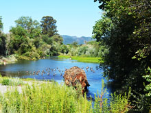Camping at Cloverdale KOA