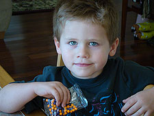 Hunter likes to eat the decorations.