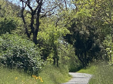 Roseland Creek Trail