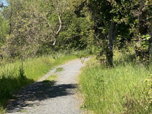 Roseland Creek Trail
