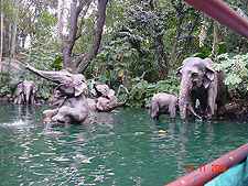 Jungle Cruise