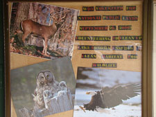 Lake Sonoma Recreation Area