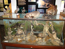 Lake Sonoma Recreation Area