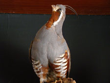 Lake Sonoma Recreation Area