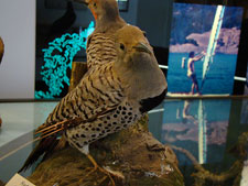 Lake Sonoma Recreation Area