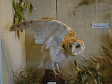 Lake Sonoma Recreation Area