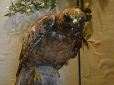 Lake Sonoma Recreation Area