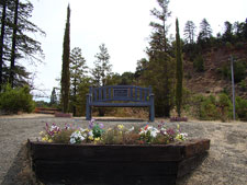 Memorial bench near Lake Sonoma