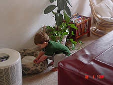 Still finding more eggs.