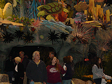 This year's flower show theme: Floral Reef