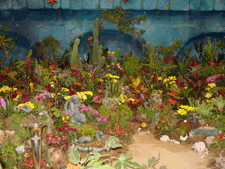 A beautiful flower garden.