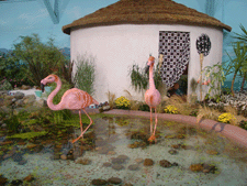 Flamingos