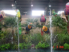 Entrance of flower show.