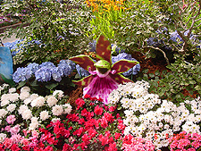Hall of Flowers