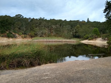 Foothills Regional Park