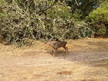 Foothills Regional Park