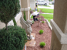 Looking good already!