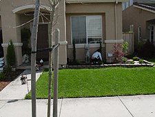 Heidi adds some Nasturtiums.