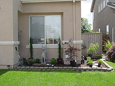 New stuff ready to be planted.