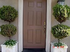 New flowers in front trees.