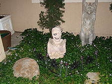 Halloween decorations