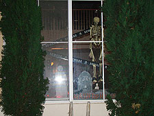 Halloween decorations